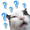 ?? ? ? ? ?
