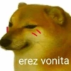 🐱🐹Animalitos Para Tu Chat📲💓 9