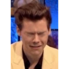 Harry styles 21