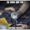 Nájila, a heroína de bsb 14