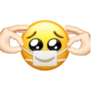 EMOJIS 19
