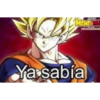 Ya sabía