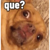 que?