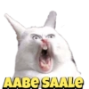 AABE SAALE