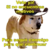 Perritos con canciones Sad 24