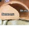 Random 13