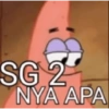 SG 2
NYA APA