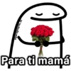 @paragvayita_vi
[100]
Para ti mamá