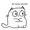 Gatito Inestable 6