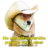 Perritos con canciones Sad 19