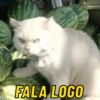 FALA LOGO