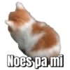 Noes pa mi