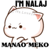 Funny Memes 20