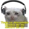 Perritos con canciones Sad 8