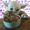 GROGU MODELO 5
