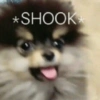 *SHOOK*