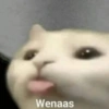 Memes raros pa’ gente rara 😩🤙🏻 9