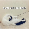 GATAU AKU LAGI TIDUR