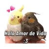 Memes pa’ Enviar 🔥🤡 15