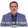 Javier Alatorre 30
