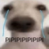 PIPIPIPIPIPIPI