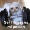 Ser fitness es mi pasion
