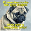 Perritos con canciones Sad 6
