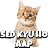 CATS 9