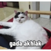 gada akhlak