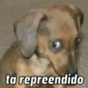 tá repreendido