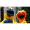 Cookie monster 24