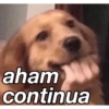 aham
continua
