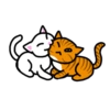 Gatinhos fofos 8
