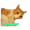 Stickers de El Gato Felipe 9