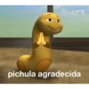 pichula agradecida
