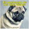 Perritos con canciones Sad 5