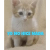 Stickers de El Gato Felipe 5