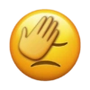 EMOJIS 16