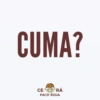 CUMA? CE CODRÁ PAI D'ÉGUA