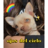 ojos del cielo