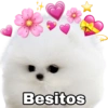 Amorcito Corazón 💕💓 10