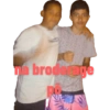 Pacote CriadorHard 22