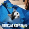INCE
FUR
MAKANAN YAN
2
MEMELAS KEPADAMU