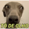 MEMES E REAÇÕES 😊😂 5