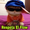 Respeta El Flow