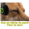 Perritos con canciones Sad 17