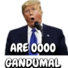 ARE 0000
GANDUMAL