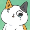 Cats (from @catandcatcomics) 13