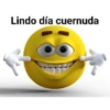 Lindo día cuernuda