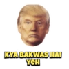 Trump 9